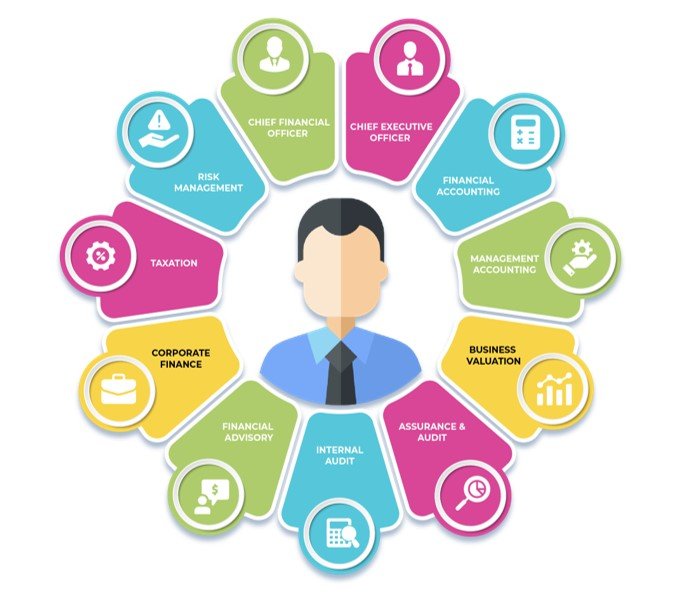 diverse roles of accountants